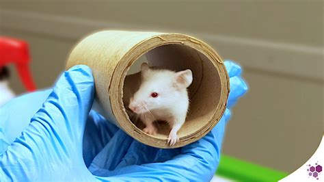 vera lab booking online|Manage your lab with a mouse click .